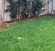 se Vende casa en Valle Real