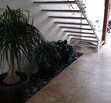 Santillana coto 6