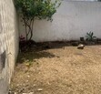 REAL VALLARTA, ZAPOPAN
