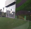 Hard Rock Iconia