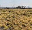 Terreno el verde, El Salto Jalisco