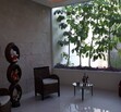 Jardines de Guadalupe