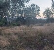 Se vende terreno en Fraccionamiento las Coloradas