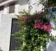 Se vende casa en Villa Universitaria