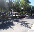 Local Av. México