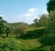 Atotonilco el Alto