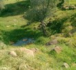 Atotonilco el Alto