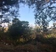 Agua Escondida
