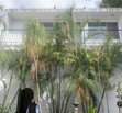 Se renta casa en Jardines del Bosque
