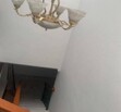 Se renta casa en Jardines del Bosque