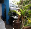 Jardines Vallarta