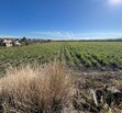 Se Vende Increible Terreno En Tala Con Acceso Por Carretera Perfecto Para Proyecto Industrial