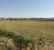 terreno en el arenal