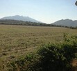 terreno en el arenal
