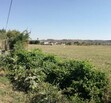 terreno en el arenal