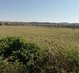 terreno en el arenal