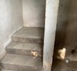 Santa Paula en Venta