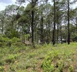 Terreno en Venta en Camino Real Mazamitla