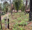 Terreno en Venta en Camino Real Mazamitla