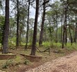 Terreno en Venta en Camino Real Mazamitla
