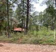 Terreno en Venta en Camino Real Mazamitla