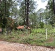 Terreno en Venta en Camino Real Mazamitla