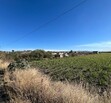 Se Vende Increible Terreno En Tala Con Acceso Por Carretera Perfecto Para Proyecto Industrial