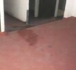 Bodega Loma bonita