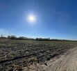 Se Vende Increible Terreno En Tala Con Acceso Por Carretera Perfecto Para Proyecto Industrial
