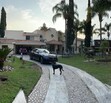 Se vende hermosa casa por carretera Tesistan y Base Aerea