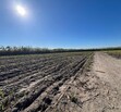 Se Vende Increible Terreno En Tala Con Acceso Por Carretera Perfecto Para Proyecto Industrial
