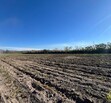 Se Vende Increible Terreno En Tala Con Acceso Por Carretera Perfecto Para Proyecto Industrial