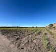 Se Vende Increible Terreno En Tala Con Acceso Por Carretera Perfecto Para Proyecto Industrial