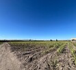 Se Vende Increible Terreno En Tala Con Acceso Por Carretera Perfecto Para Proyecto Industrial