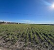 Se Vende Increible Terreno En Tala Con Acceso Por Carretera Perfecto Para Proyecto Industrial