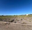 Se Vende Increible Terreno En Tala Con Acceso Por Carretera Perfecto Para Proyecto Industrial
