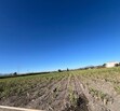 Se Vende Increible Terreno En Tala Con Acceso Por Carretera Perfecto Para Proyecto Industrial