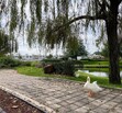 EN VENTA CASA EN EL CAMPESTRE RESIDENCIAL