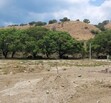 Venta de terrenos en Santa Anita
