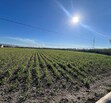 Se Vende Increible Terreno En Tala Con Acceso Por Carretera Perfecto Para Proyecto Industrial