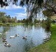 EN VENTA CASA EN EL CAMPESTRE RESIDENCIAL