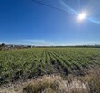 Se Vende Increible Terreno En Tala Con Acceso Por Carretera Perfecto Para Proyecto Industrial