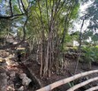 Se vende residencia en Las Cañadas