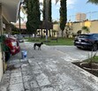 Se vende hermosa casa por carretera Tesistan y Base Aerea