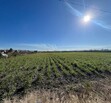 Se Vende Increible Terreno En Tala Con Acceso Por Carretera Perfecto Para Proyecto Industrial