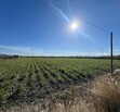 Se Vende Increible Terreno En Tala Con Acceso Por Carretera Perfecto Para Proyecto Industrial