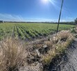 Se Vende Increible Terreno En Tala Con Acceso Por Carretera Perfecto Para Proyecto Industrial