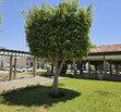 CASA EN VENTA EN CASA FUERTE, COTO EL CASTILLO