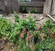 Terreno en tlaquepaque