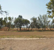Se vende terreno en Cajititlán